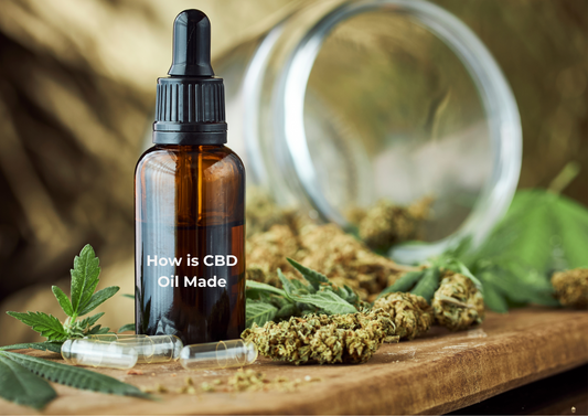 How Is CBD Oil Made: From Seed to Shelf